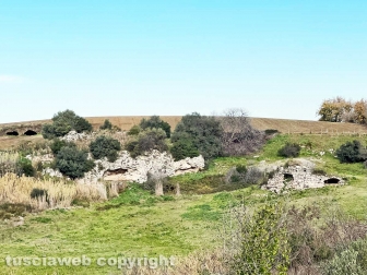 WhatsApp-Image-2023-01-26-at-23.59.36-(1)