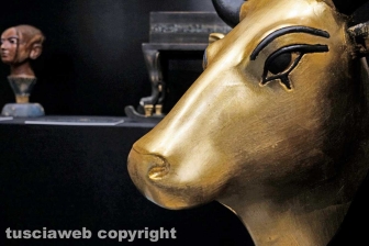 Il tesoro di Tutankhamon