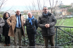 Ricci, Gai, Dello Vicario