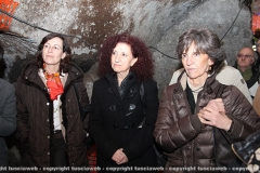 Francesca Vichi, Anna Maria Fausto, Raffaela Saraconi