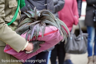 Il tricolore sul feretro di Mauro Marsiglioni