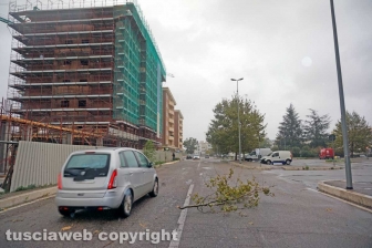 Viterbo - Rami caduti in via Bachelet
