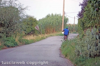 Il viaggio in bicicletta del bracciante straniero