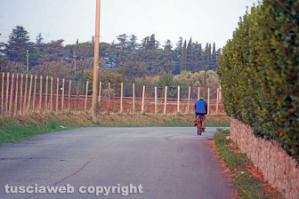 Il viaggio in bicicletta del bracciante straniero