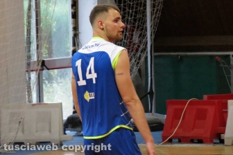 Il Volley club Orte festeggia la salvezza