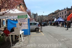 Il seggio di San Martino al Cimino