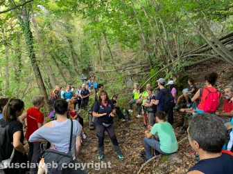 Soriano nel Cimino – Cammino sulle vie dell’esilio di santa Rosa - Lasciati a piedi in 100