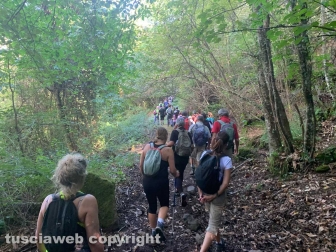 Soriano nel Cimino – Cammino sulle vie dell’esilio di santa Rosa - Lasciati a piedi in 100