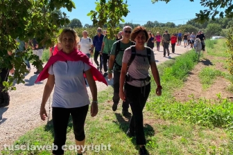 In cammino sulle vie dell’esilio di Santa Rosa da Soriano nel Cimino a Vitorchiano