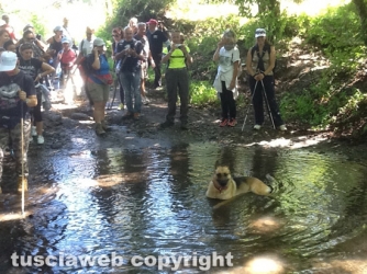 Soriano nel Cimino - In cammino sulle vie dell’esilio di Santa Rosa