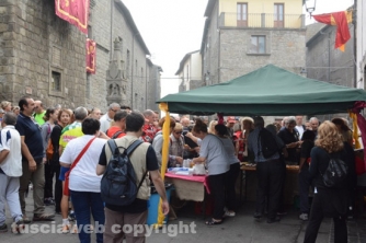 Da Vitorchiano a Viterbo - In cammino sulle vie dell’esilio di Santa Rosa - 2014