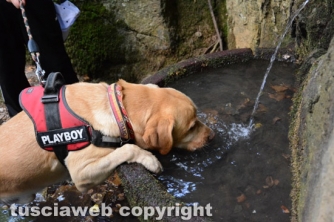 In cammino sulle vie dell’esilio di Santa Rosa