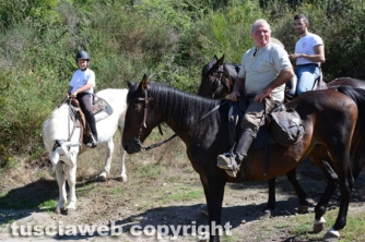 Un gruppo di cavalieri
