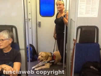 La signora Cicoria con il cane