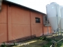  In fiamme capannone, morte 10mila galline