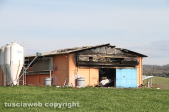Vetralla - In fiamme capannone, morte 10mila galline
