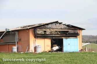 Vetralla - In fiamme capannone, morte 10mila galline