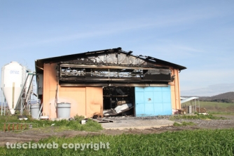 Vetralla - In fiamme capannone, morte 10mila galline