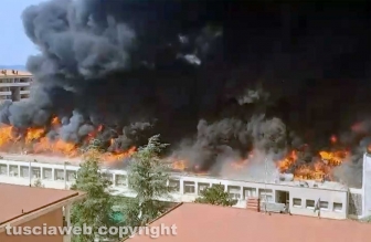 In fiamme la facoltà di agraria