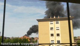In fiamme la facoltà di agraria