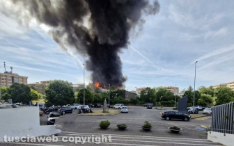 In fiamme la facoltà di agraria