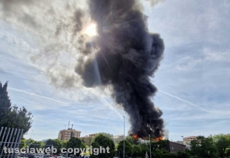 In fiamme la facoltà di agraria