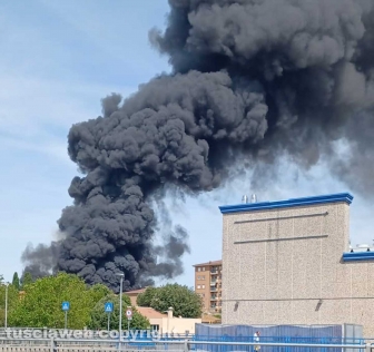 In fiamme la facoltà di agraria