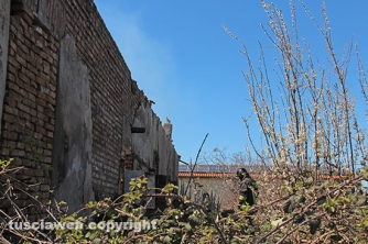 In fiamme vecchio casale a Mazzocchio