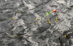 Artisti in lutto per la cultura anche a Berlino