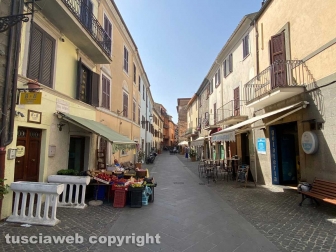 Inaugurata la Festa delle ortensie
