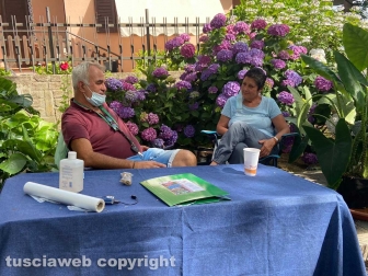 Inaugurata la Festa delle ortensie a Bolsena