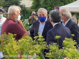 Inaugurata la Festa delle ortensie a Bolsena