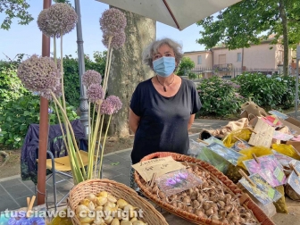 Inaugurata la Festa delle ortensie a Bolsena