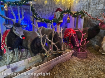 Viterbo - Inaugurazione Christmas Village