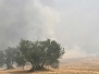 Incendi a Castel d'Asso e Monterazzano