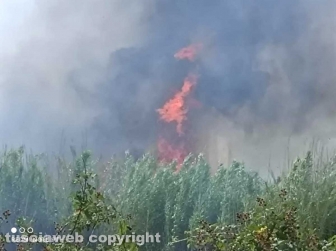 Viterbo - Vasto incendio a Monterazzano