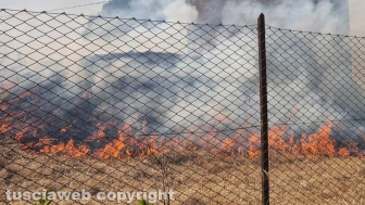 Viterbo - Vasto incendio a Monterazzano