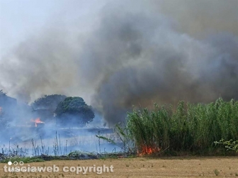 Viterbo - Vasto incendio a Monterazzano