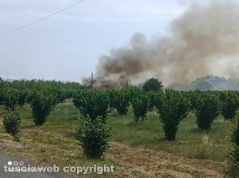 Viterbo - Vasto incendio a Monterazzano