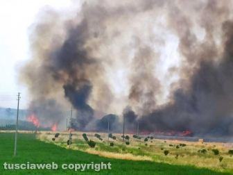 Viterbo - Vasto incendio a Castel d'Asso