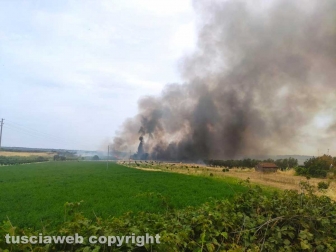 Viterbo - Vasto incendio a Castel d'Asso