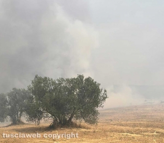 Viterbo - Incendio a Monterazzano