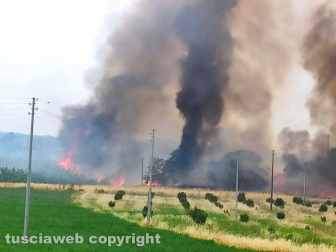 Viterbo - Vasto incendio a Castel d'Asso