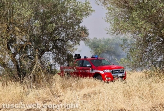 Viterbo - Vasto incendio a Monterazzano