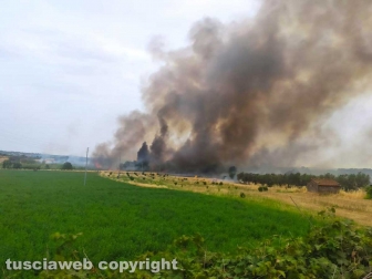 Viterbo - Vasto incendio a Castel d'Asso