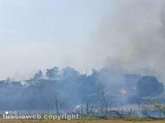 Viterbo - Vasto incendio a Monterazzano