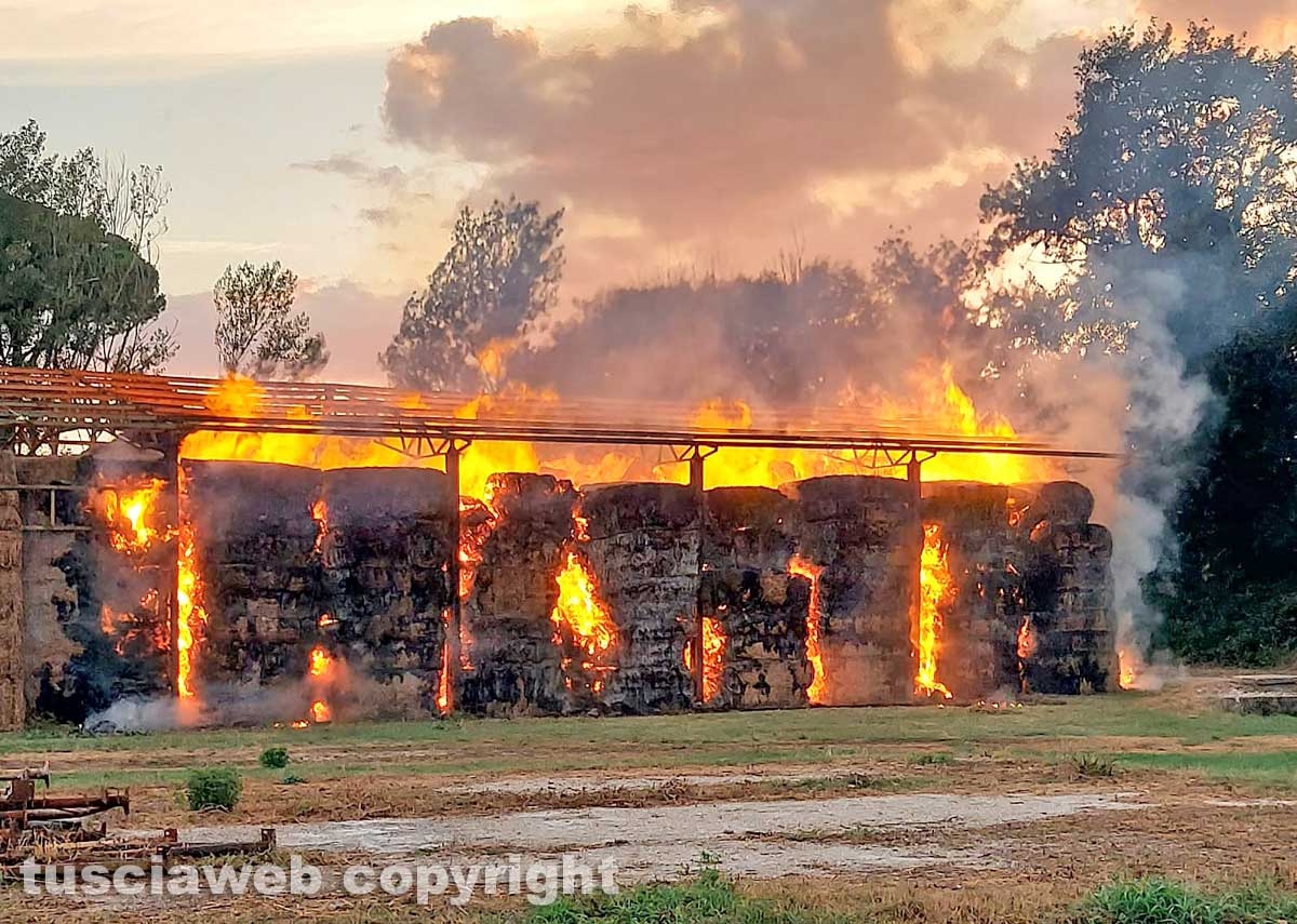 Gallese, in fiamme un capannone con 2mila quintali di fieno