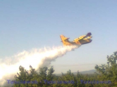 Un canadair su un incendio tra Bassano in Teverina e Orte - di Stefano Pandimiglio