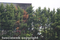 Viterbo - Incendio a Casale Bussi