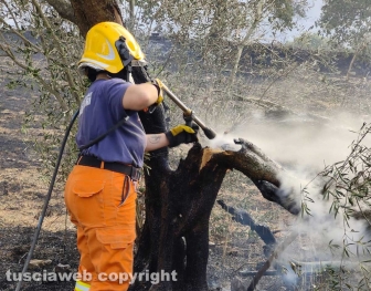 Incendio a Monterazzano - Associazione nazionale carabinieri, nucleo protezione civile
